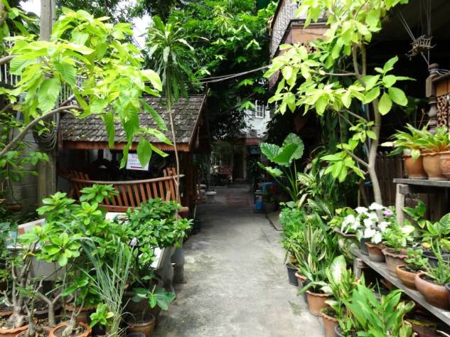 10505324_10204130620765201_4188326178157439504_n