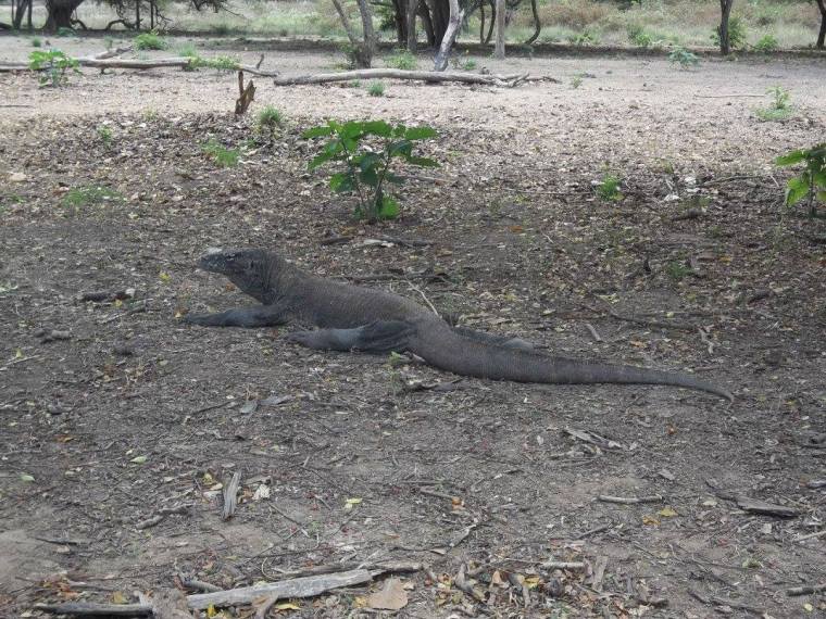 11872100_10207587729950770_8201931636569415358_o