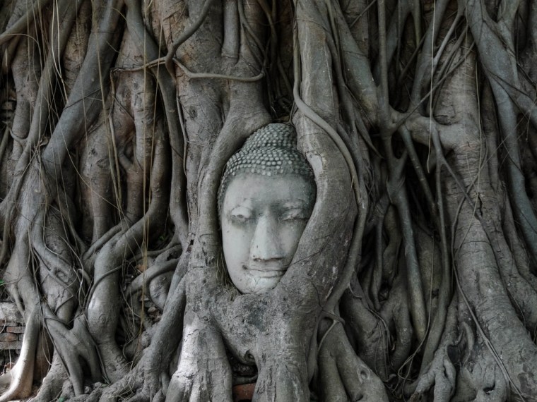 Bouddha Ayutthaya