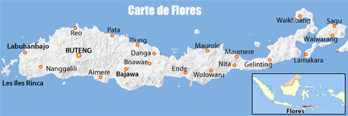 carte-de-flores-page