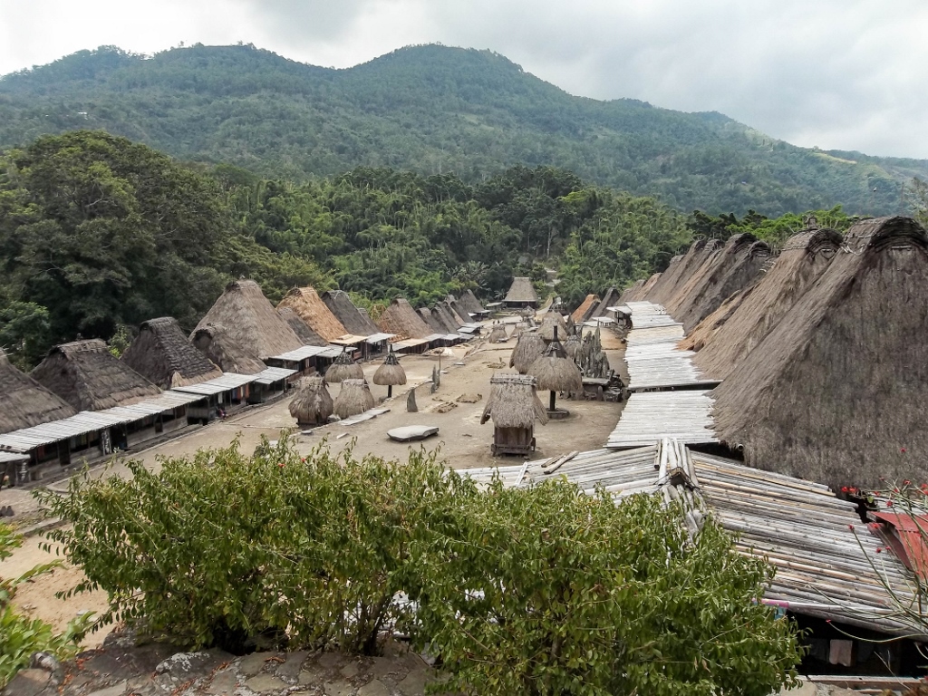 Panorama sur un village traditionnel Ngada à Flores