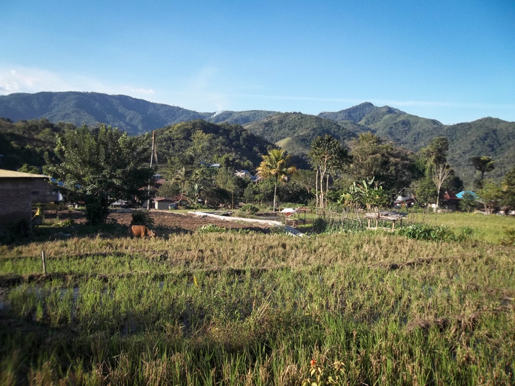 Panorama sur le village de Moni, Flores