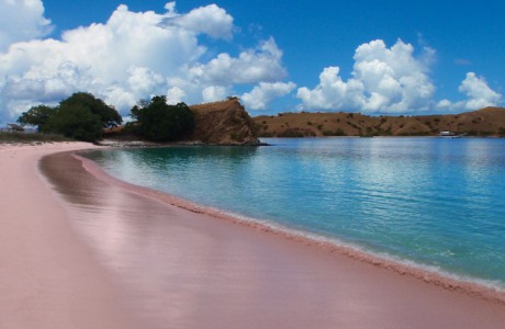 pink beach