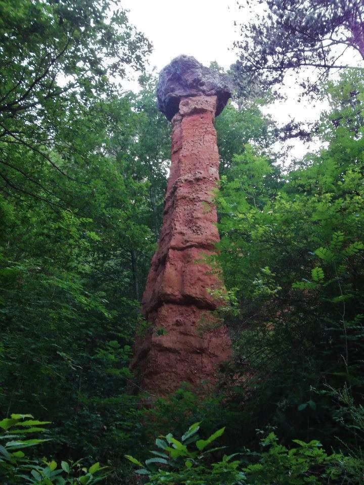 396895_4239524145790_1708881632_n