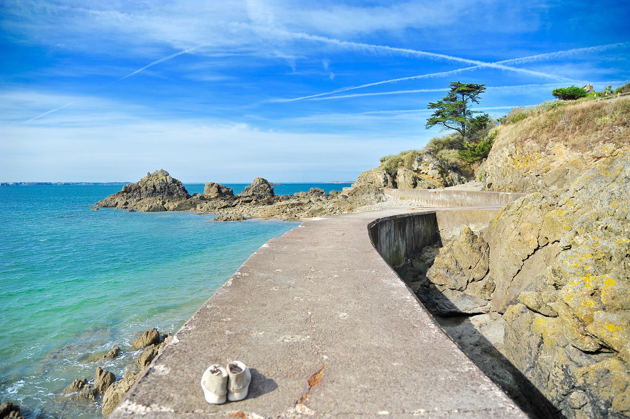 17521678_10155217821342848_796473865_o