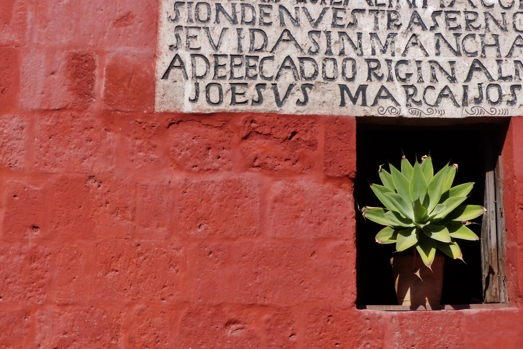 Santa Catalina monastère plantes