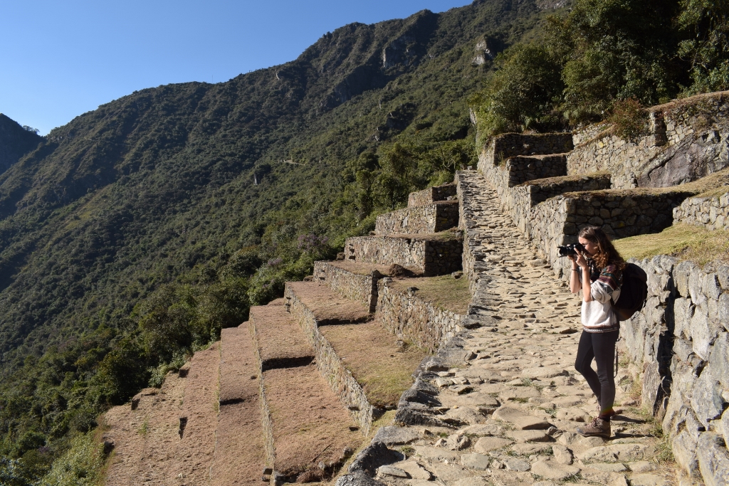 Depuis les terrasses du Machu Picchu au Pérou