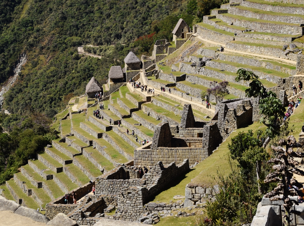 Quelques terrasses sur le site du Machu Picchu au Pérou