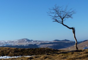 Une randonnée incontournable dans le Puy de Dôme