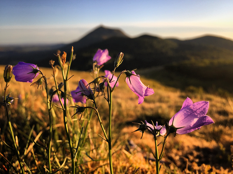 Vue depuis le Puy des goules avec arrière-plan flou sur le Puy-de-Dôme