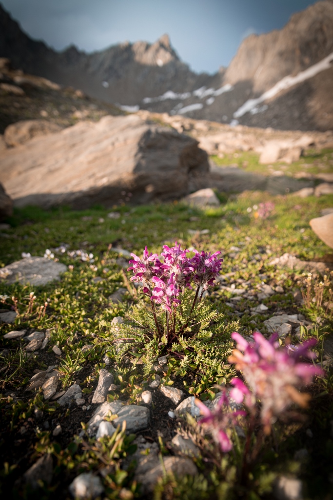 Randonnée jusqu'au lac des Neuf Couleurs, Ubaye