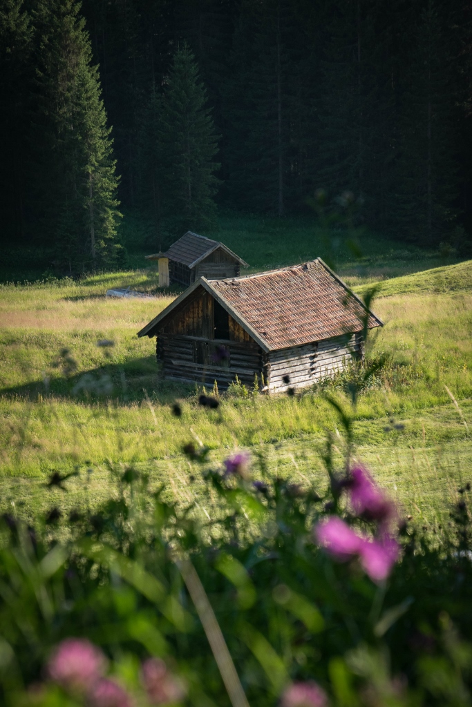 Vue sur une cabane en bois autrichienne pittoresque 
