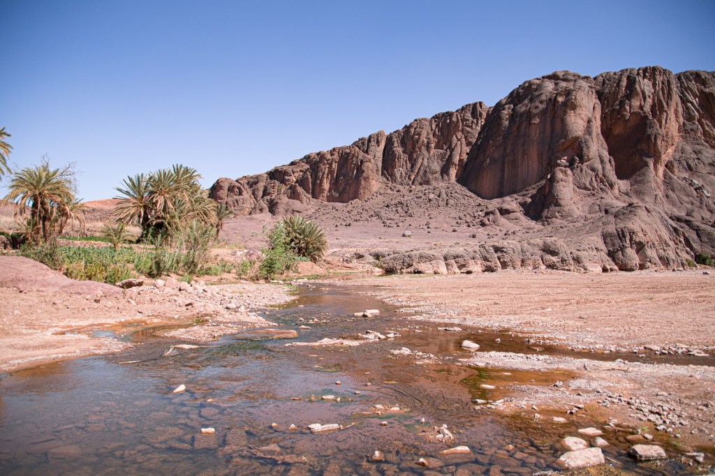 Panorama sur l'oasis de Fint avec rivière au premier plan 