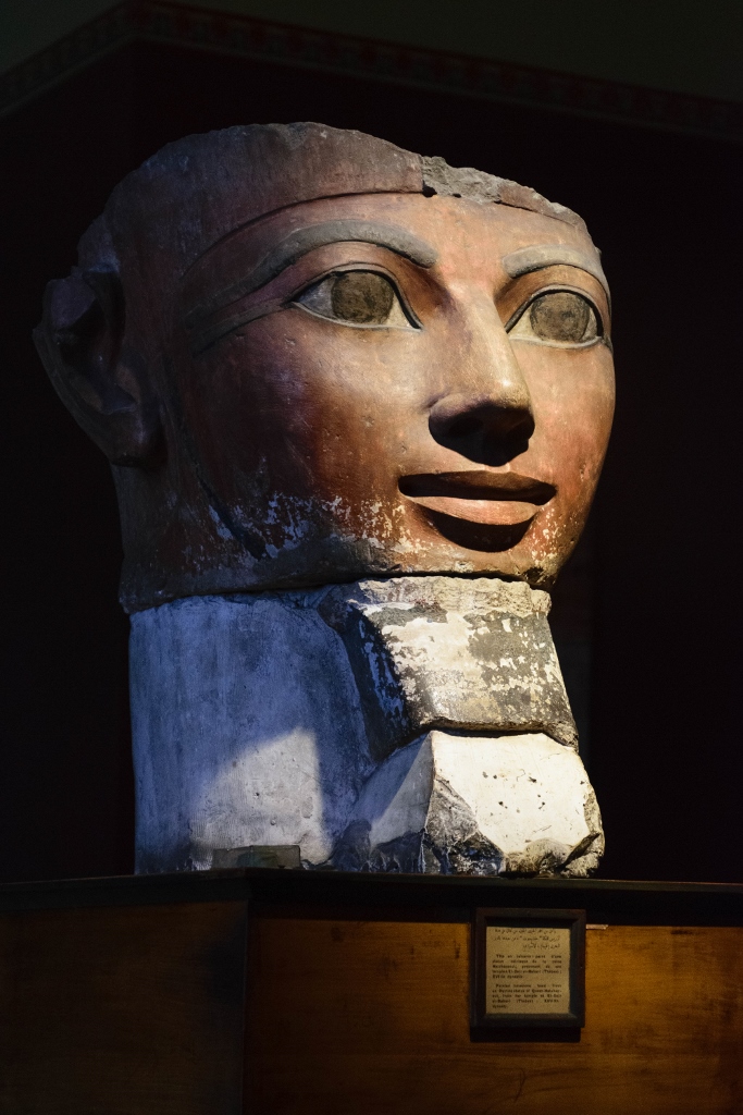 Vue sur le buste de Néfertiti dans un musée 