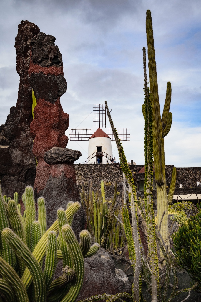 Moulin dans un jardin de cactus à Lanzarote