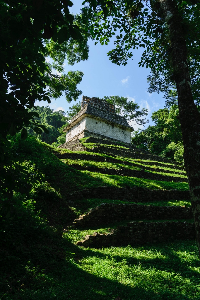 Vue sur un vestige archéologique à Palenque 