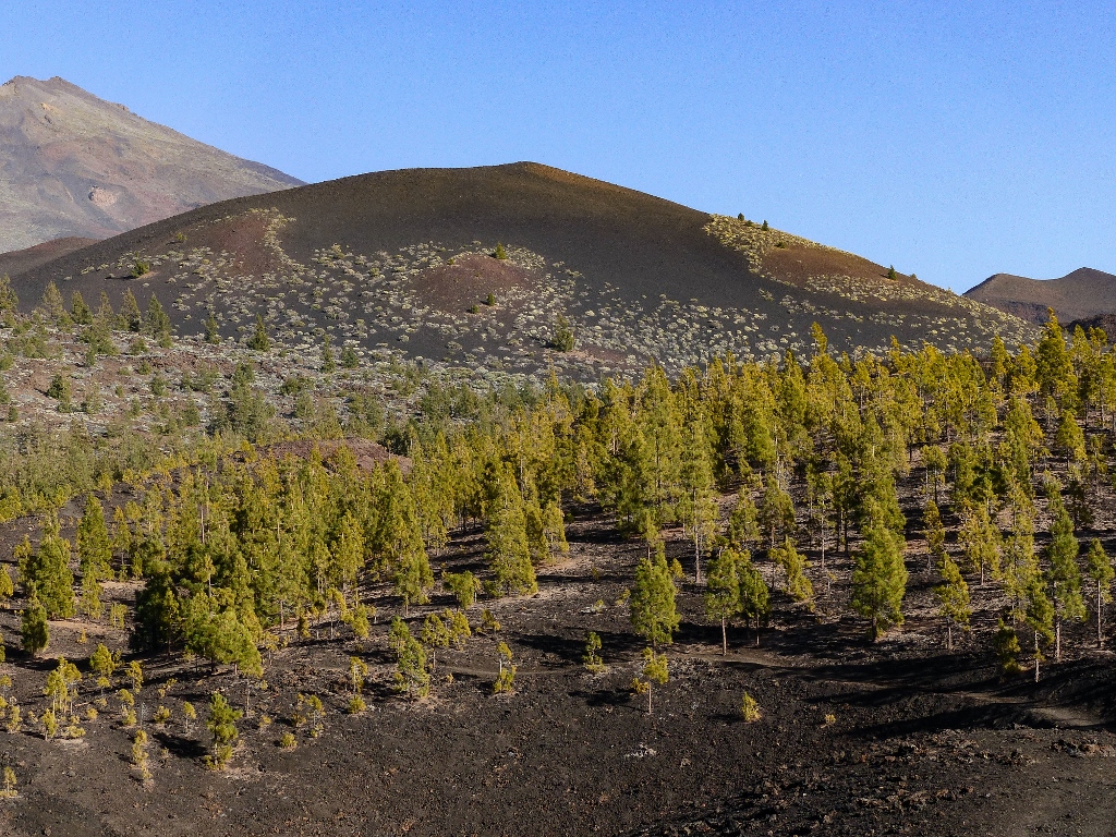 Que faire en une semaine à Tenerife