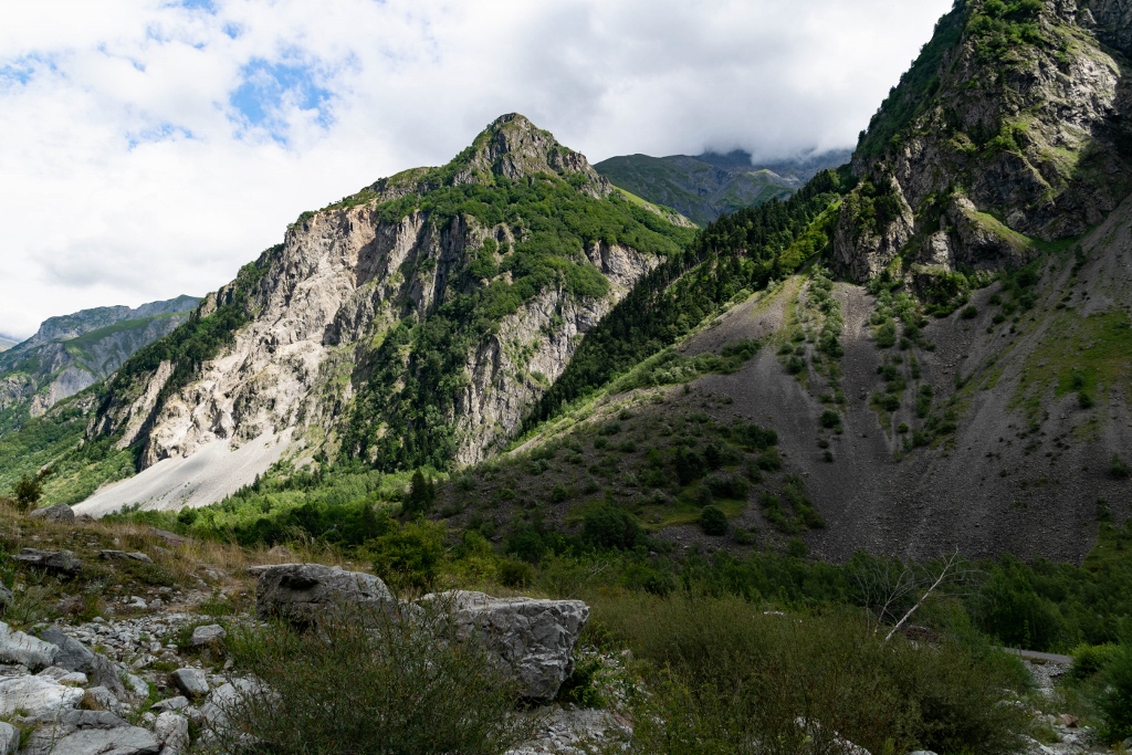 Panorama sur les Alpes avec montagnes verdoyantes 