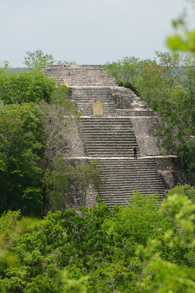 Vue sur une pyramide maya en pleine jungle mexicaine