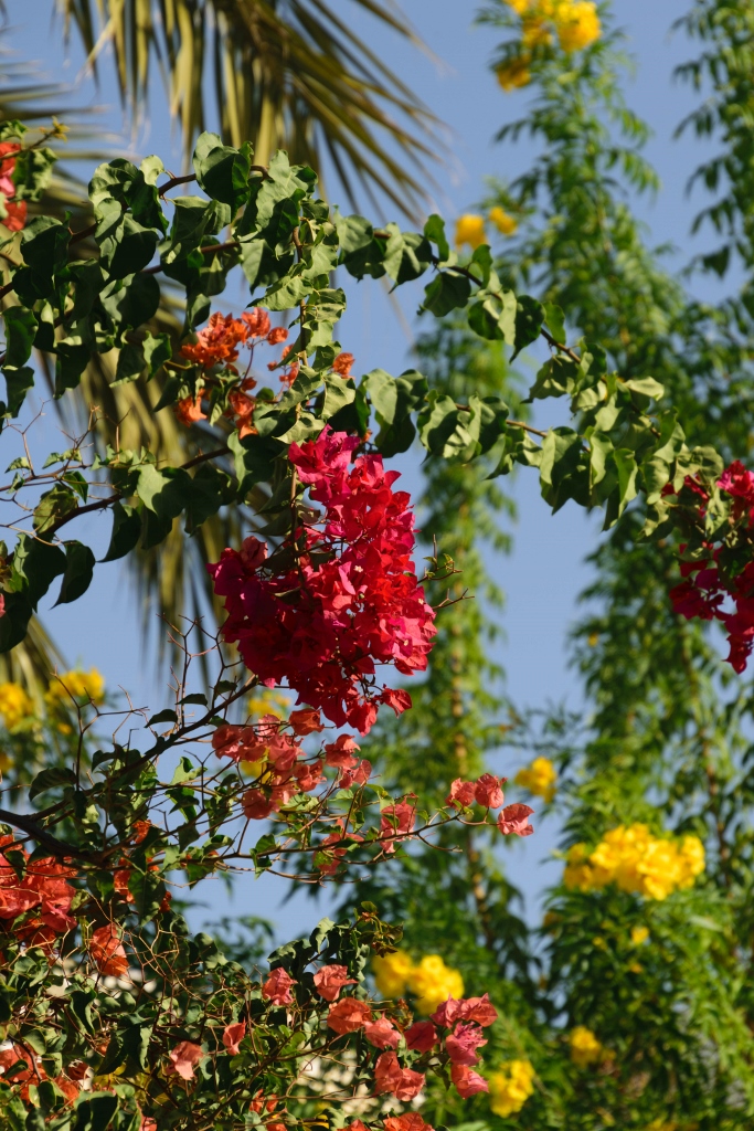 Vue sur la façade du musée Guellela