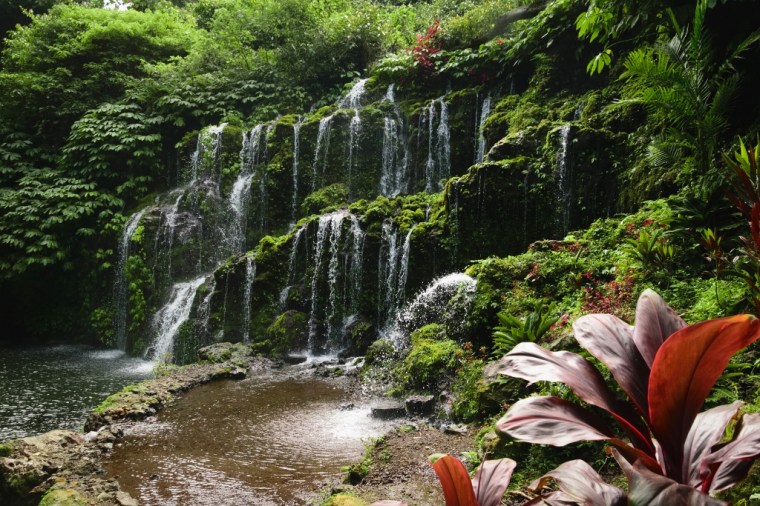 Panorama sur la cascade Banyu Wana Amertha dans le nord de Bali 