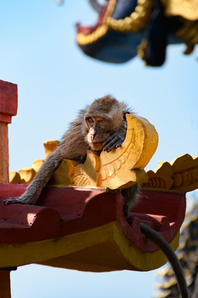 Singe couché sur une sculpture d’un temple balinais