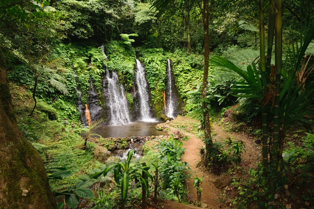Vue sur une cascade balinaise 