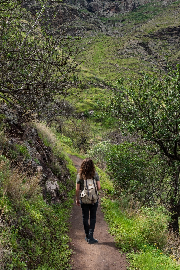 Randonneuse de dos sur un sentier pédestre dans les montagnes verdoyantes de Gran Canaria