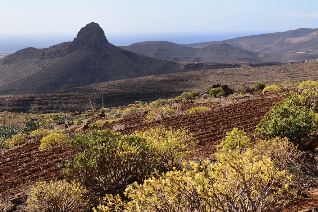 Vue sur un rocher de Gran Canaria avec champ au premier plan 