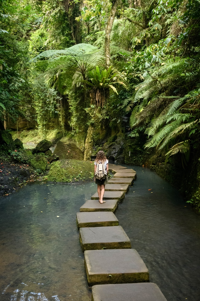 Chemin de pierres au-dessus de l’eau dans un lieu paisible et peu fréquenté dans le nord de Bali
