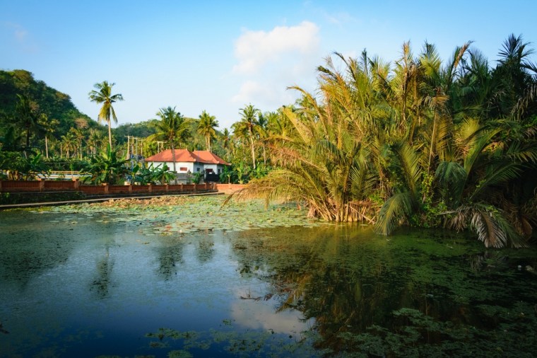 Visiter Nusa Penida au large de Bali