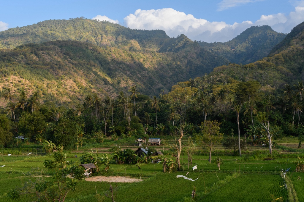 Rivières autour d'Amed