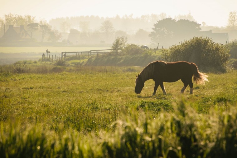 Guissény au lever du soleil 