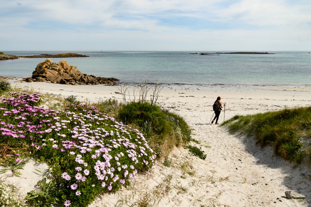 L’île de Batz dans le Finistère 