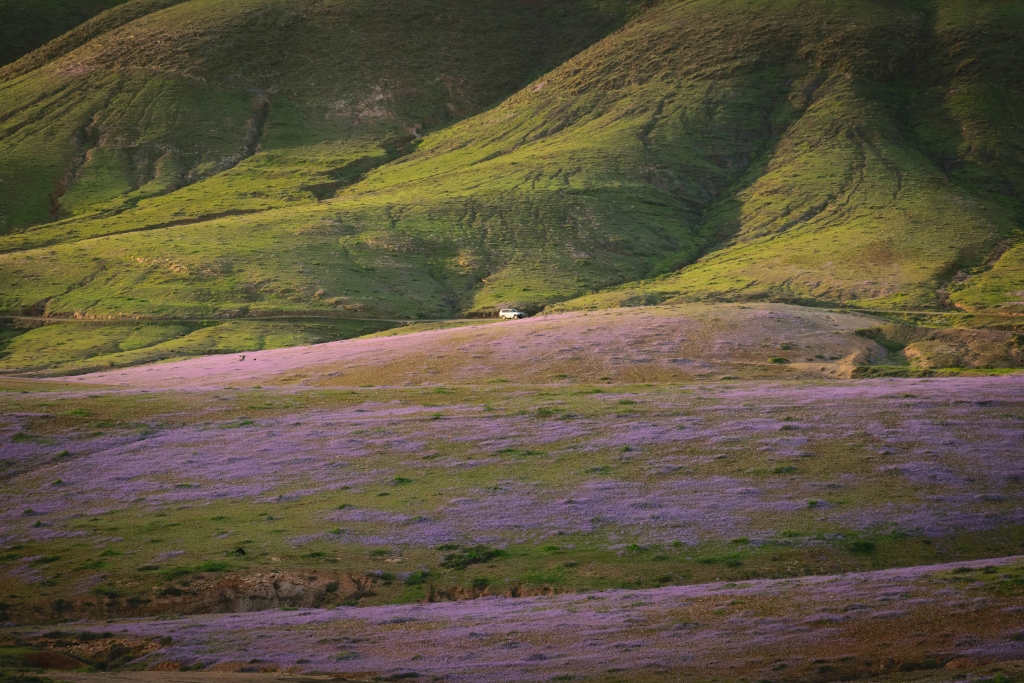 Les paysages volcaniques de Fuerteventura