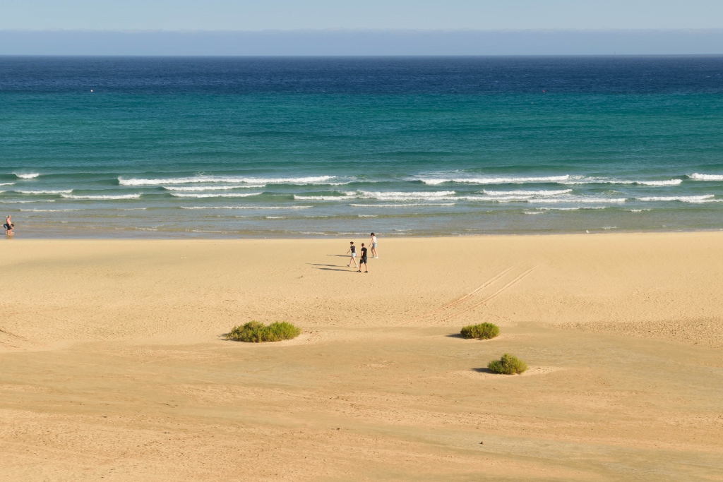 Panorama sur la plage de Sotavento, Fuerteventura 