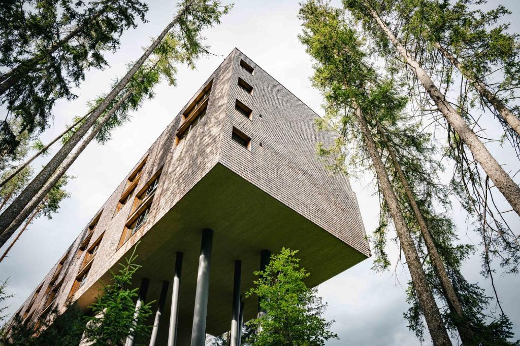 My Arbor - Dolomites, un hôtel de luxe unique dans les Dolomites